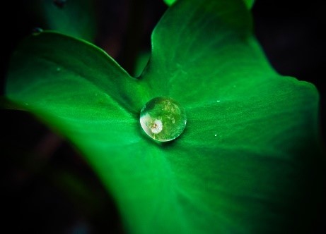 Reducing Stress at Your Desk