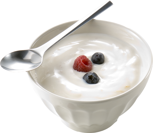 Power Up Your Day with Protein