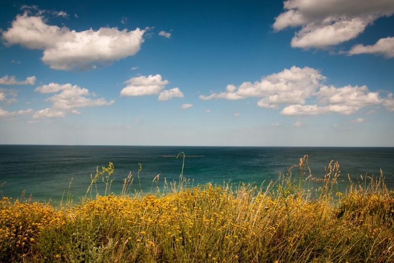Finding Calm in Your Day through Mindfulness
