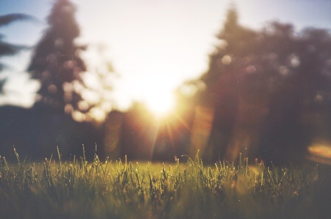 It’s Time for Summer!