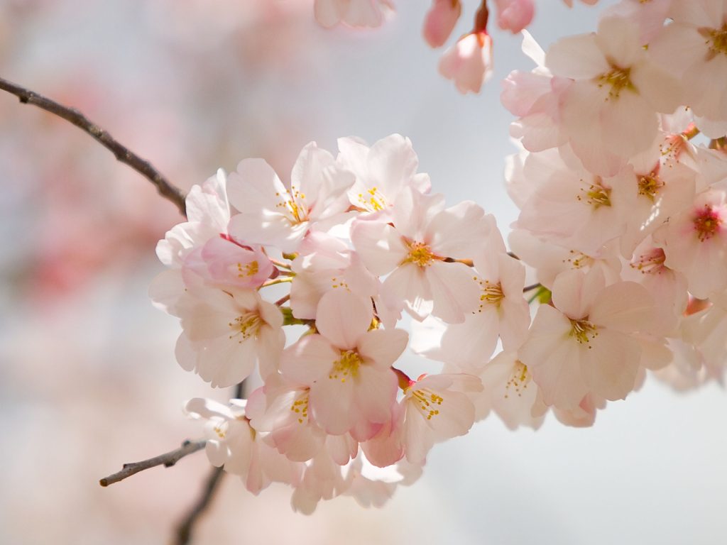 Breathe…