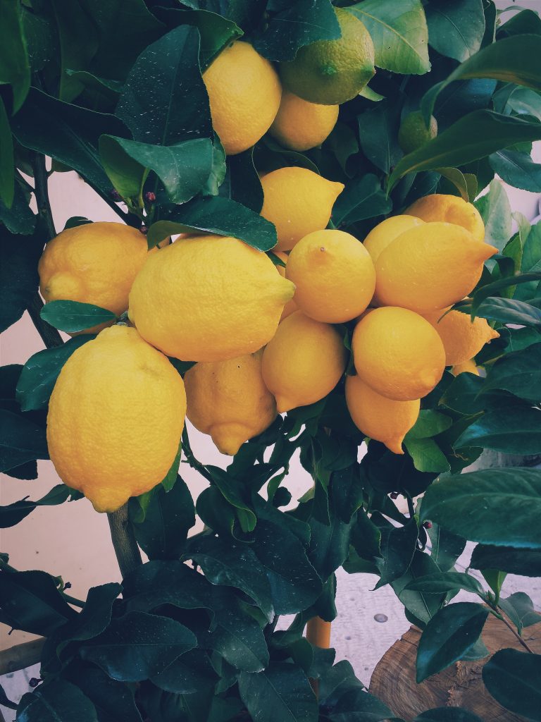 When Life Gives You Lemons…