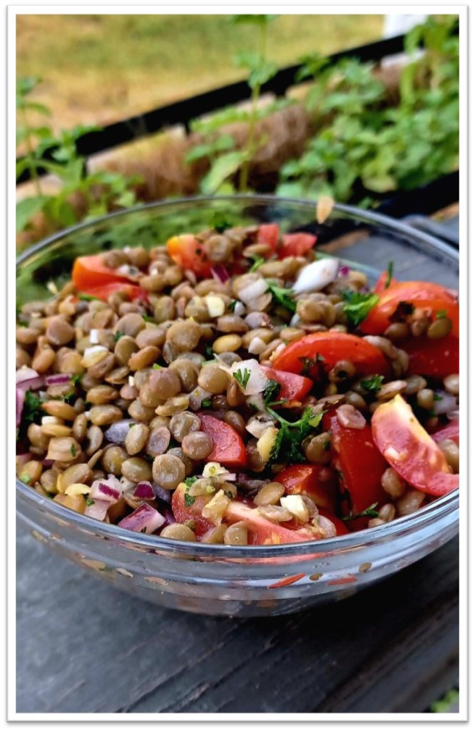Lentil Salad