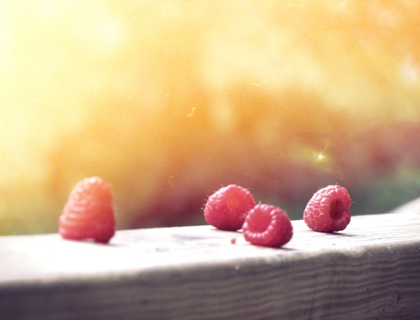 Looking for the Fountain of Youth?  Fruits and Vegetables are Key!